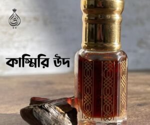 Kashmiri Oudh